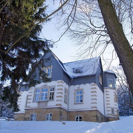 Villa-Unger Altenberg Ngoại thất bức ảnh