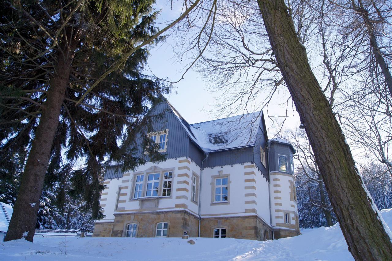 Villa-Unger Altenberg Ngoại thất bức ảnh